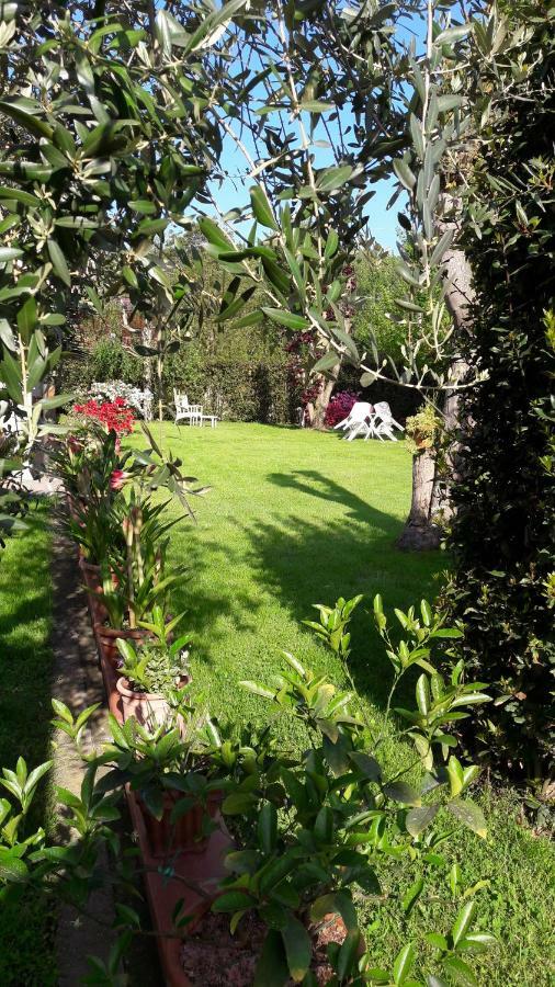 Il Volo Appartement Lucca Buitenkant foto