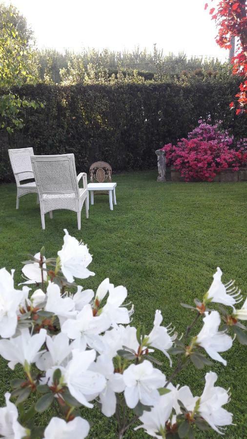 Il Volo Appartement Lucca Buitenkant foto